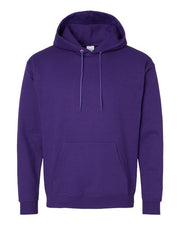 Hanes P170 Unisex EcoSmart® Hooded Sweatshirt