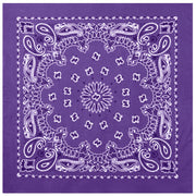 Rothco Trainmen Paisley Bandana - 22" X 22"