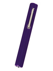 Prestige Medical - Standard Disposable Penlight